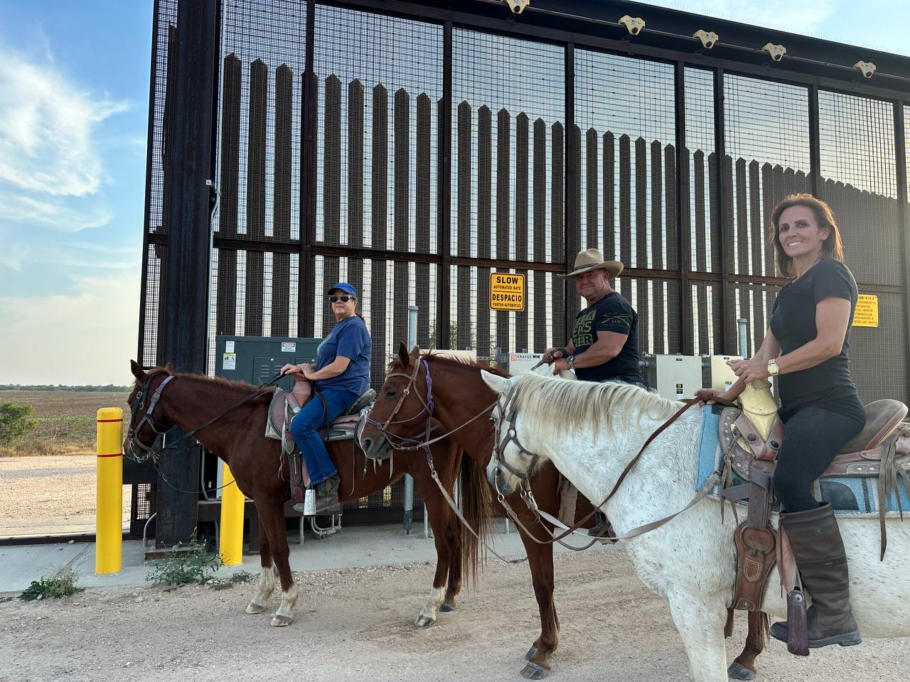 Horses at the Border Fence